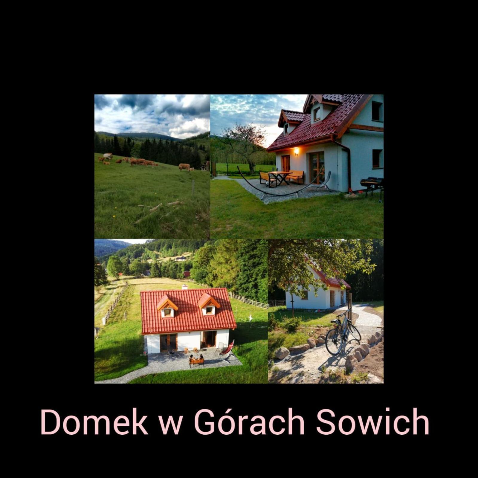 Domek W Gorach Sowich Pieszyce 外观 照片
